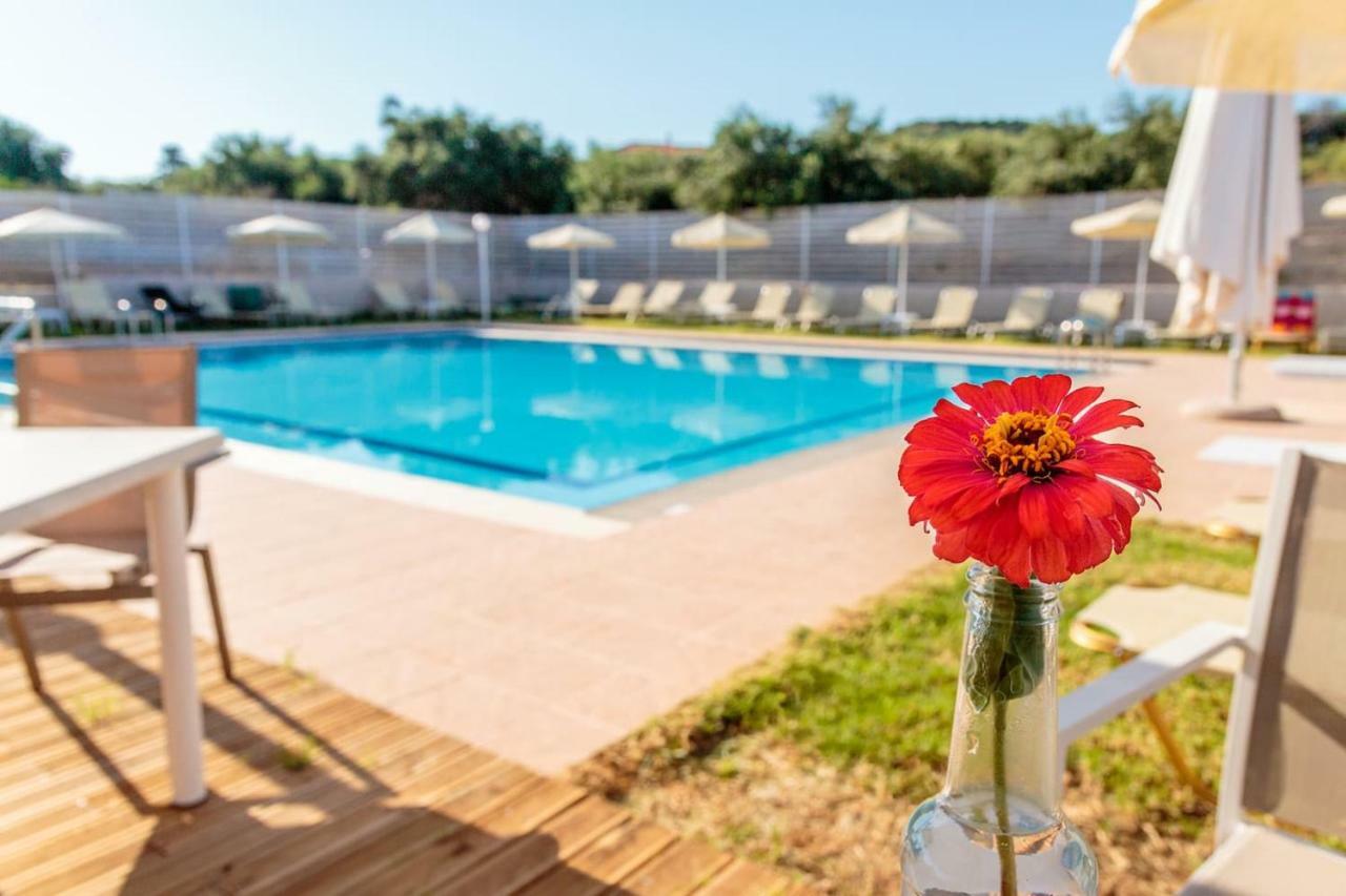 Apartamento Charming And Comfy House Agia Marina Exterior foto